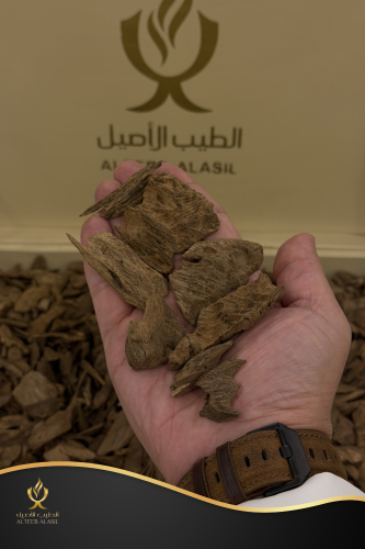 عود مروكي حي ميني سوبر مرتفع ودبل