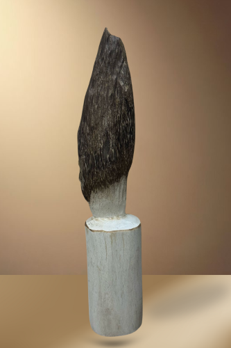 قطعة عود فتنامي حقيقي لديكور الوزن 514 جرام