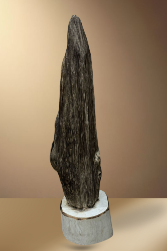 قطعة عود فتنامي حقيقي لديكور الوزن 296 جرام