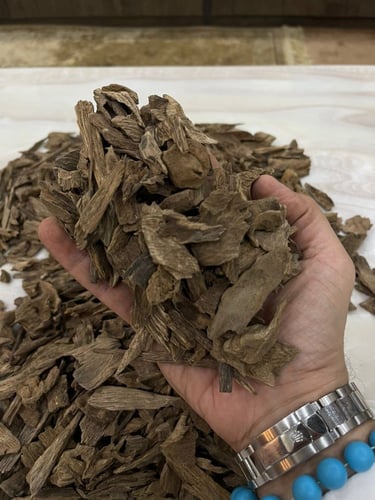 عود مالينو غابات منتران دبل و سوبر مرتفع و سوبر