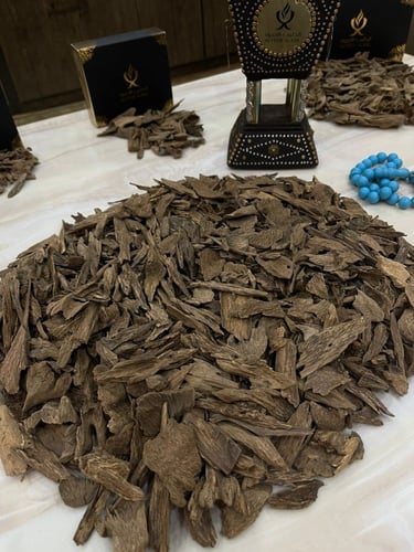 عود مالينو غابات منتران دبل و سوبر مرتفع و سوبر