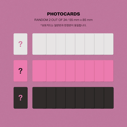 STRAY KIDS - 7th Mini Album: MAXIDENT (Standard ve...