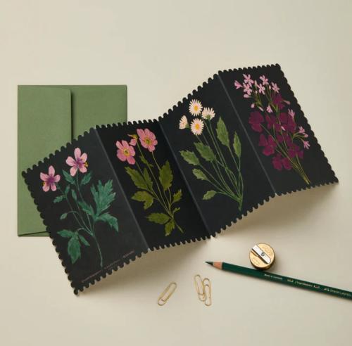 Botanical Concertina Card