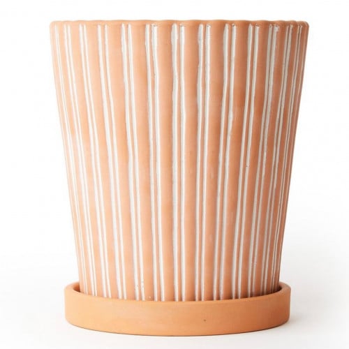 اصيص نباتات تيرا كوتا مع صحن