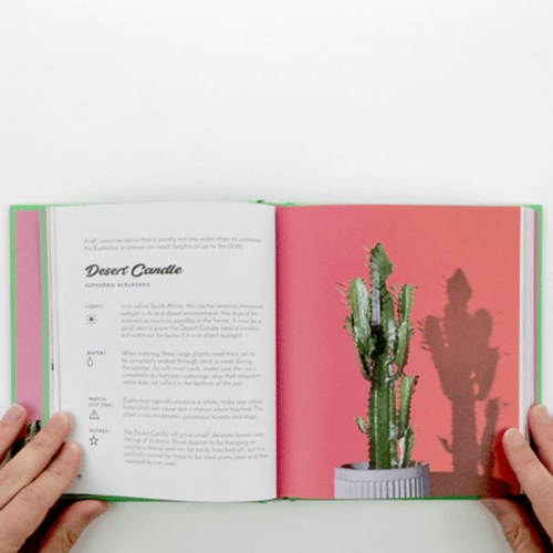 The Little Book of Cacti and Other Succulents