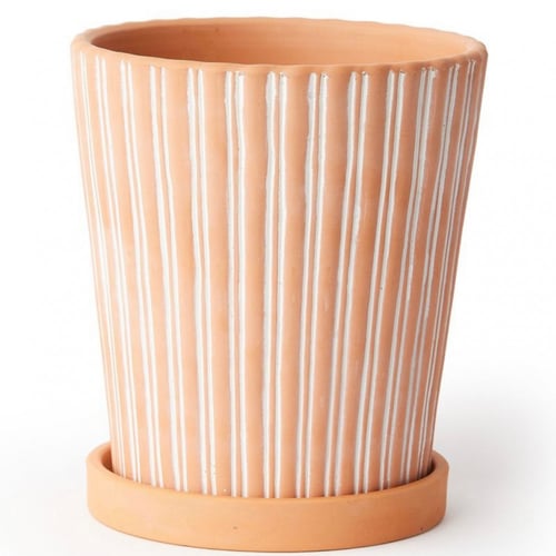 اصيص نباتات تيرا كوتا مع صحن