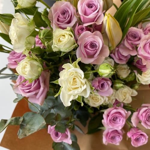 بوكس ايكة للورد