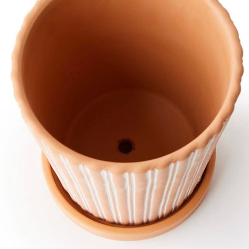 اصيص نباتات تيرا كوتا مع صحن