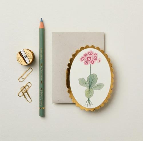Auricula Mini Card