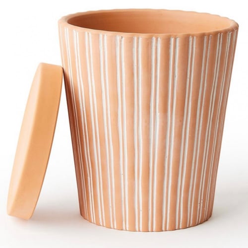 اصيص نباتات تيرا كوتا مع صحن