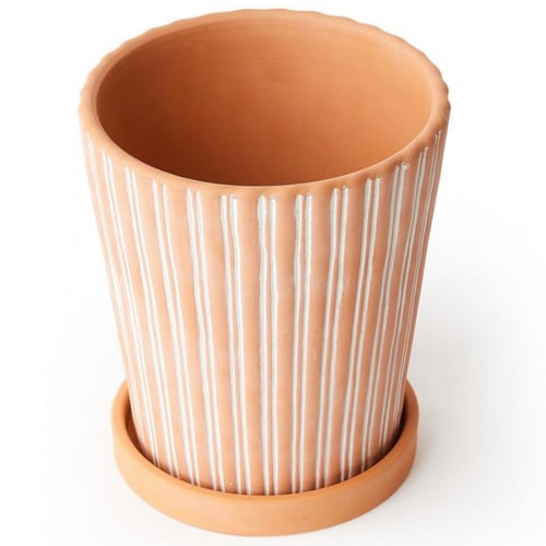 اصيص نباتات تيرا كوتا مع صحن