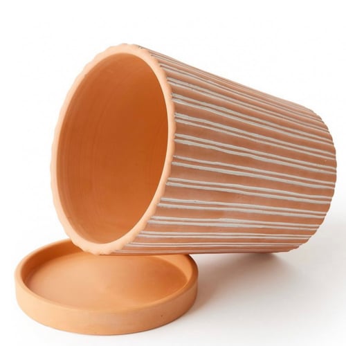 اصيص نباتات تيرا كوتا مع صحن