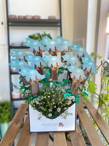 توزيعات اليوم الوطني 94