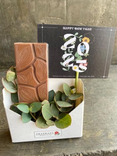 توزيعه ظرف 2023