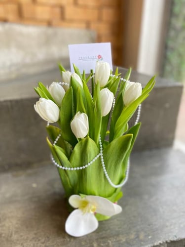 فازة عقد التوليب