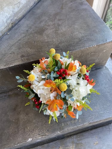 فازة خريف 2022