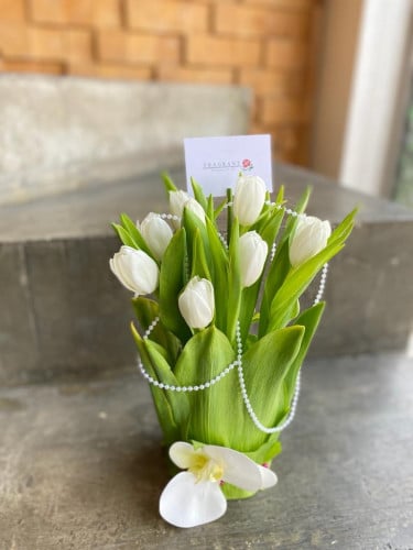 فازة عقد التوليب