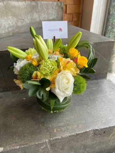 فازة الطاقة الايجابية