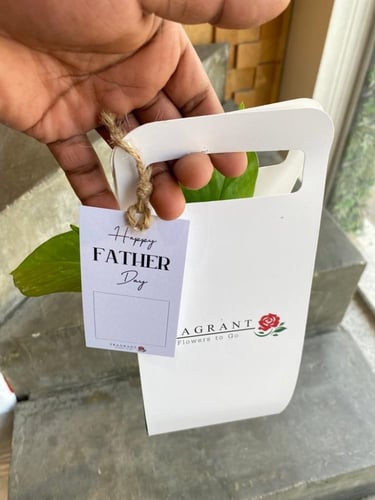 حامل نبتة البوتس