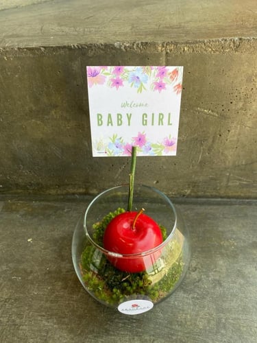 فازة مبلغ مالي ، لمولودة