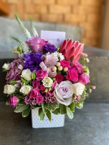 فازة البروتيا