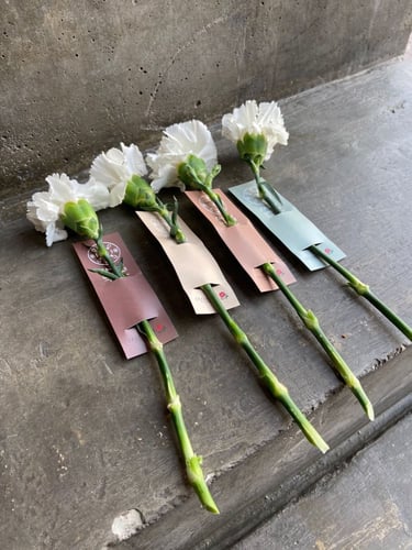 توزيعه ورد الكورنيش