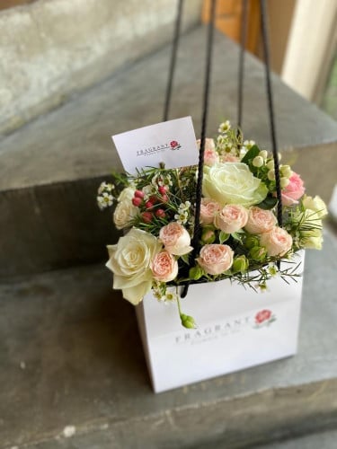 سقنتشر فراقرنت بالورد