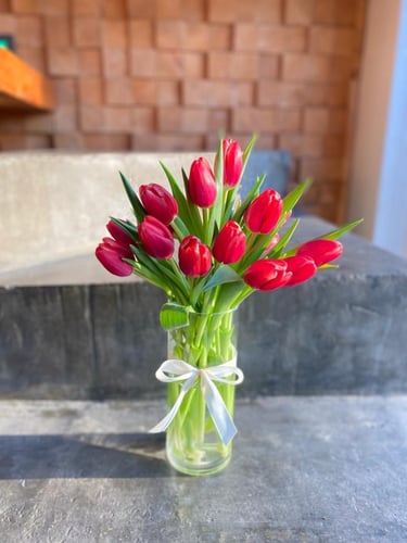 فازة التوليب الاحمر