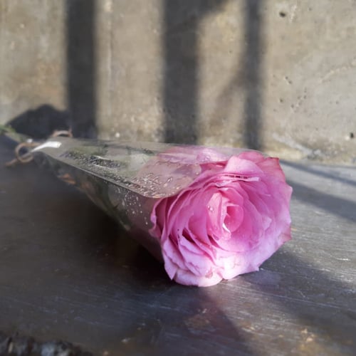 ورد الجوري بالحبة - عدة الوان