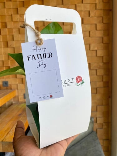 حامل نبتة البوتس