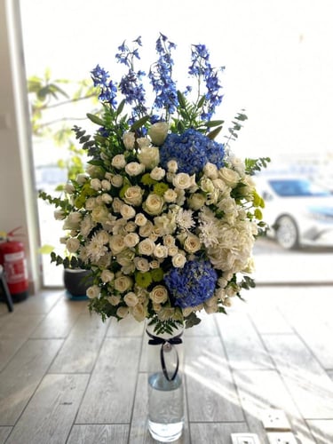 فازة مولود بلو