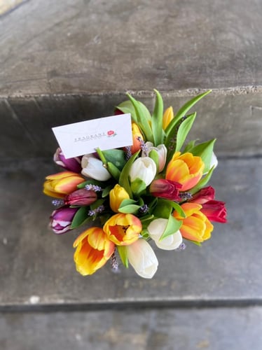 فازة توليب ملون