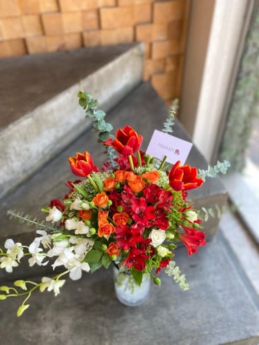 فازة مدام ريد