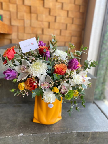 فازة طموح و اشراق