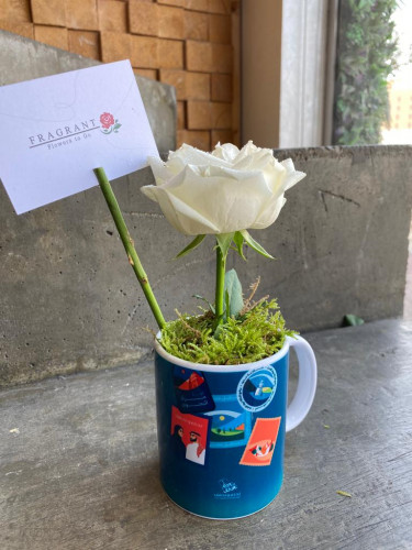 كوب اليوم الوطني