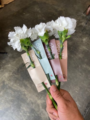 توزيعه ورد الكورنيش