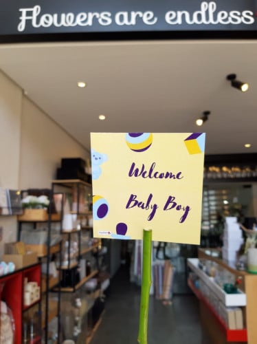 كرت قدوم مولود