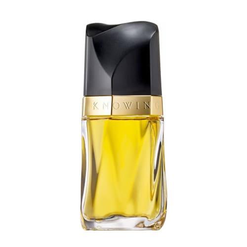عطر نوينغ استي لودر للنساء اودي بارفيوم - 75 مل