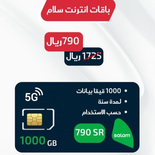 بطاقة شحن سلام - ١٠٠ قيقا - لمدة سنة