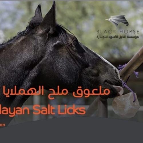 ملح الهملايا الطبيعي