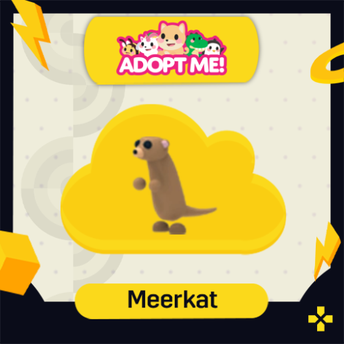ادوبت مي | Meerkat