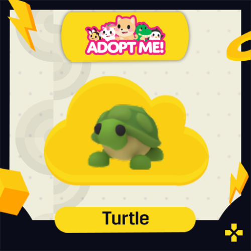 ادوبت مي | Turtle