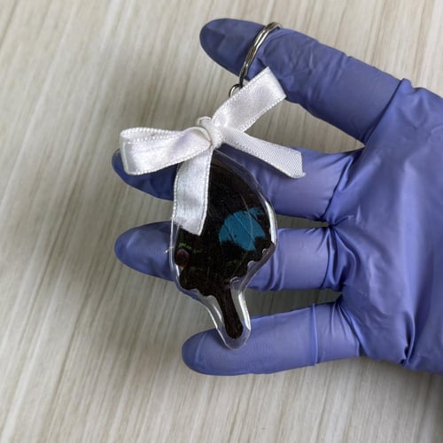 ميدالية جناح فراشة