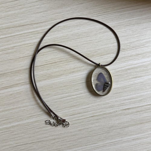 قلادة جناح اصغر فراشة مع صدفه