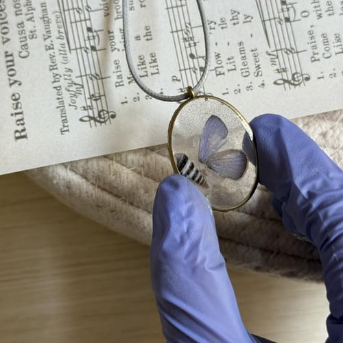 قلادة جناح اصغر فراشة مع صدفة