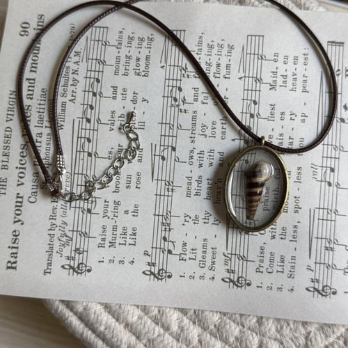 قلادة الصدفه Faunus ater