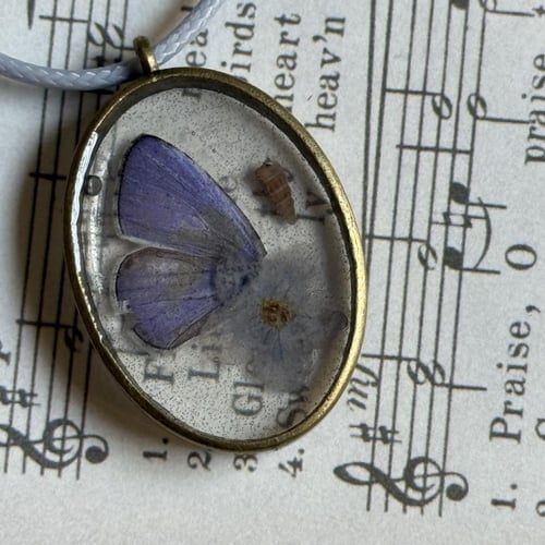 قلادة جناح اصغر فراشة