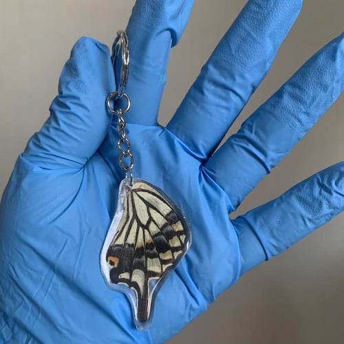 ميدالية جناح فراشة