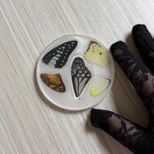 قاعدة كوب من اجنحة فراشات حقيقية