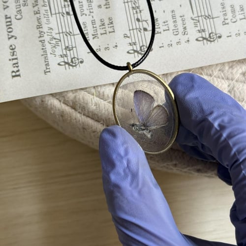 قلادة جناح اصغر فراشة